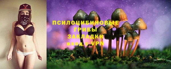 ECSTASY Алексин
