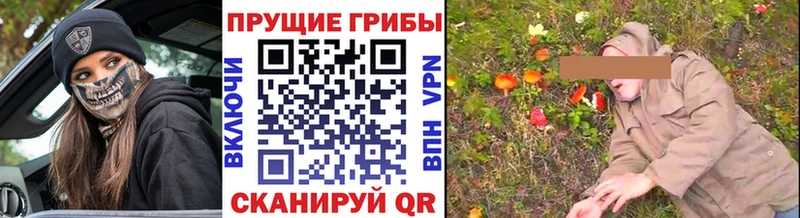 гидра зеркало  Билибино  Псилоцибиновые грибы прущие грибы 